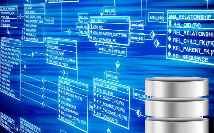 如何连接sqlserver数据库（应该怎么做）